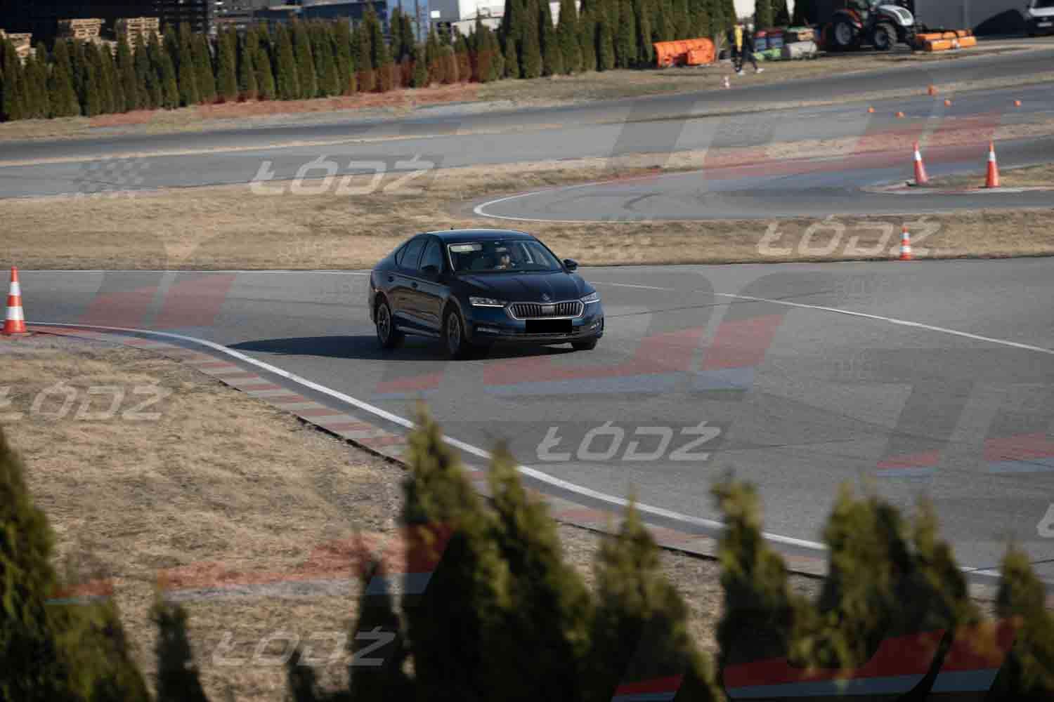 140326TDauto (14).jpg