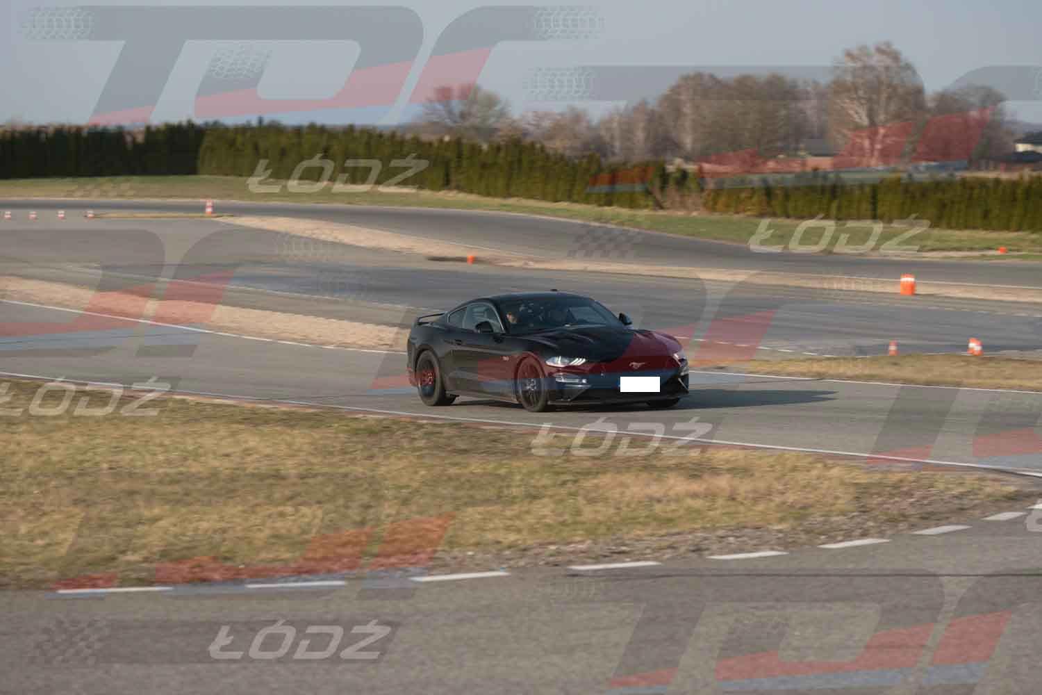 290326TDauto (135 of 186).jpg