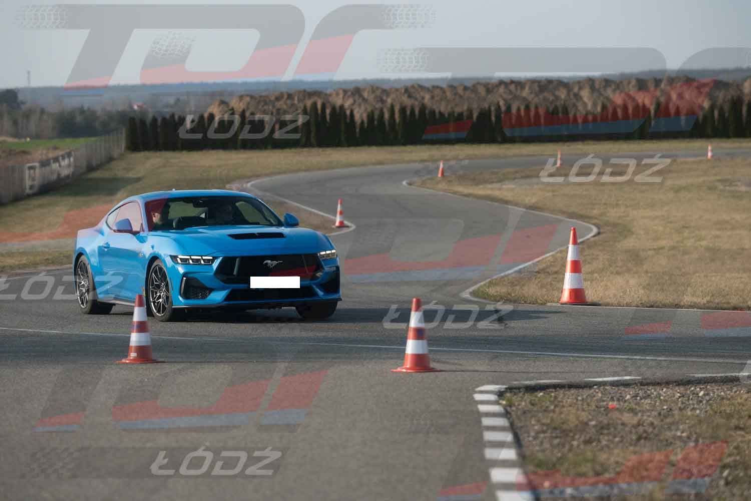 290326TDauto (83 of 186).jpg