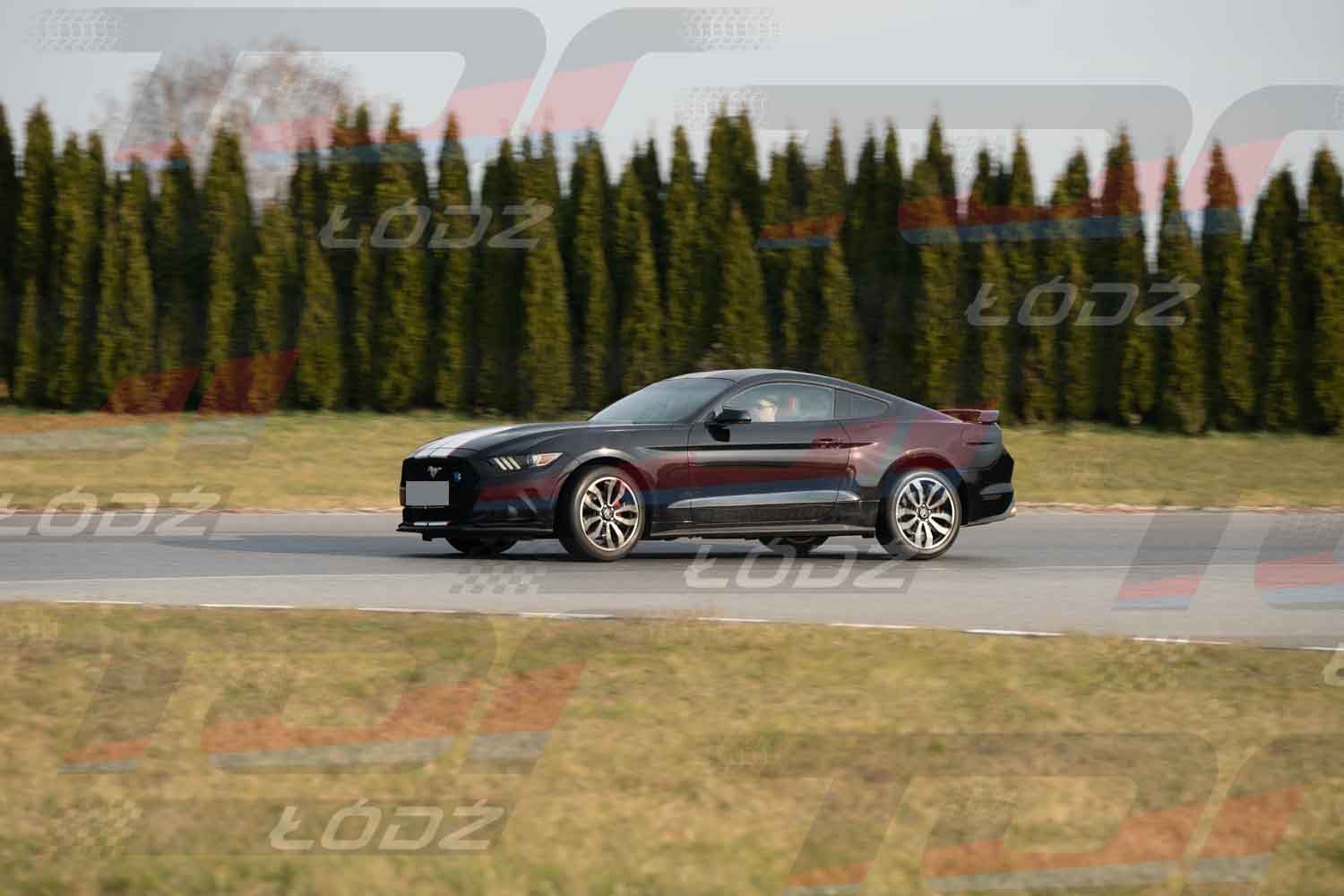 201125TDauto (2 of 165).jpg