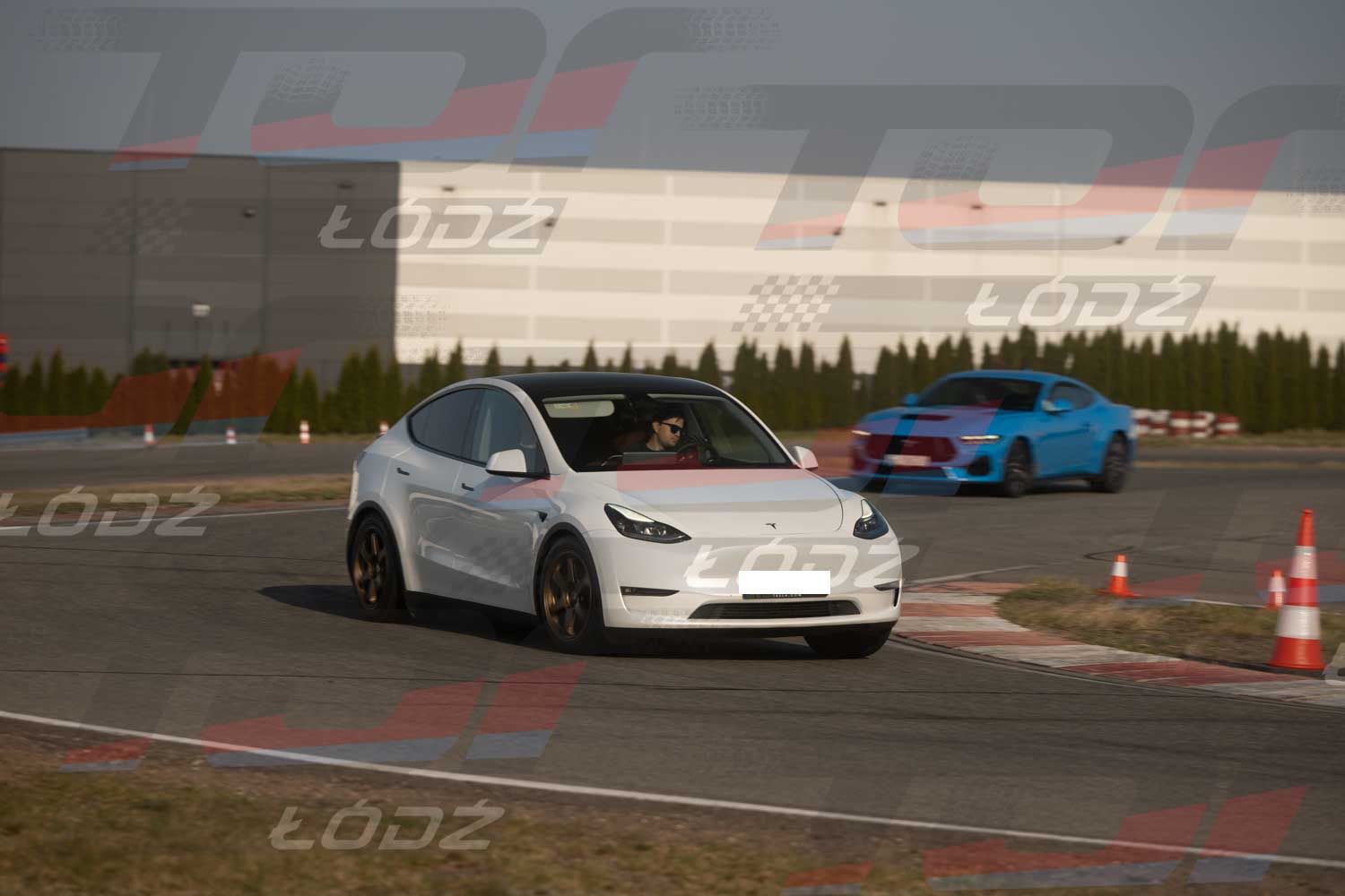 290326TDauto (95 of 186).jpg